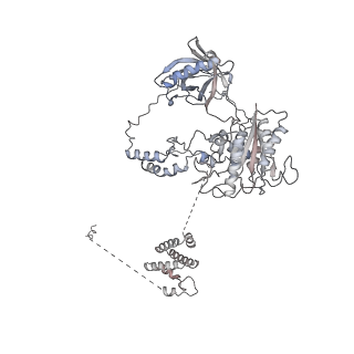 14546_7z88_C_v1-1
DNA-PK in the intermediate state