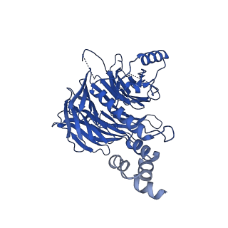 14547_7z8b_F_v1-2
Structure of CRL7FBXW8 reveals coupling with CUL1-RBX1/ROC1 for multi-cullin-RING E3-catalyzed ubiquitin ligation