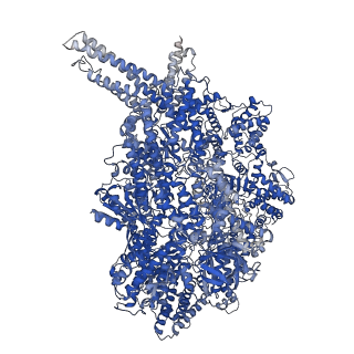 14550_7z8g_A_v1-2
Cytoplasmic dynein-1 motor domain