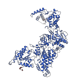 14551_7z8h_A_v1-2
Cytoplasmic dynein-1 motor domain AAA1, AAA2, and AAA3 subunits