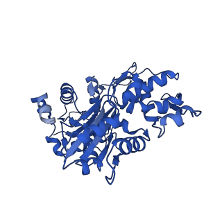 14552_7z8i_B_v1-2
The barbed end complex of dynactin bound to BICDR1 and the cytoplasmic dynein tails (A2, B1, B2)