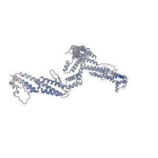 14552_7z8i_f_v1-2
The barbed end complex of dynactin bound to BICDR1 and the cytoplasmic dynein tails (A2, B1, B2)