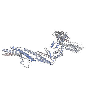 14553_7z8j_f_v1-2
Cytoplasmic dynein (A2) bound to BICDR1