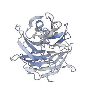 14553_7z8j_h_v1-2
Cytoplasmic dynein (A2) bound to BICDR1