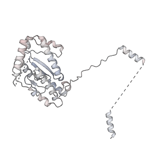 14553_7z8j_j_v1-2
Cytoplasmic dynein (A2) bound to BICDR1