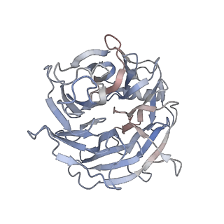 14553_7z8j_o_v1-2
Cytoplasmic dynein (A2) bound to BICDR1