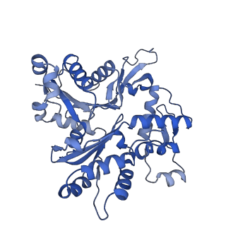 14555_7z8k_F_v1-2
Cytoplasmic dynein (A1) bound to BICDR1