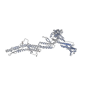 14555_7z8k_e_v1-2
Cytoplasmic dynein (A1) bound to BICDR1