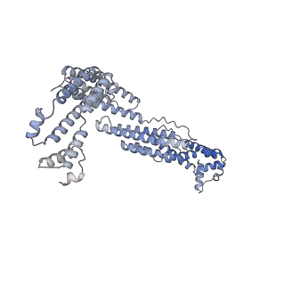 14555_7z8k_f_v1-2
Cytoplasmic dynein (A1) bound to BICDR1