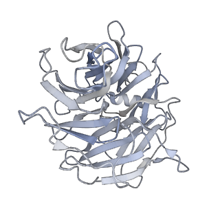 14555_7z8k_h_v1-2
Cytoplasmic dynein (A1) bound to BICDR1