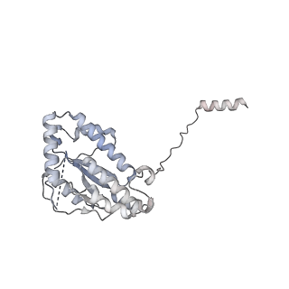 14555_7z8k_i_v1-2
Cytoplasmic dynein (A1) bound to BICDR1