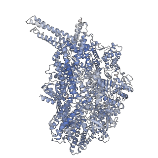 14556_7z8l_f_v1-2
Cytoplasmic dynein light intermediate chain (B1) bound to the motor domain (A2).