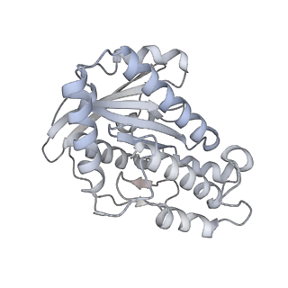 14556_7z8l_q_v1-2
Cytoplasmic dynein light intermediate chain (B1) bound to the motor domain (A2).