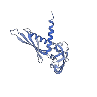 14560_7z8q_a_v1-0
Cryo-EM structure of Mycobacterium tuberculosis RNA polymerase core