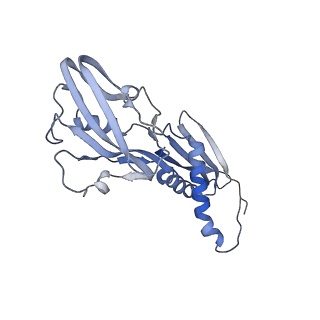 14560_7z8q_b_v1-0
Cryo-EM structure of Mycobacterium tuberculosis RNA polymerase core
