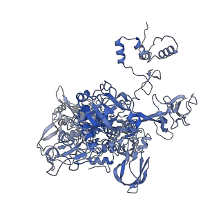 14560_7z8q_c_v1-0
Cryo-EM structure of Mycobacterium tuberculosis RNA polymerase core