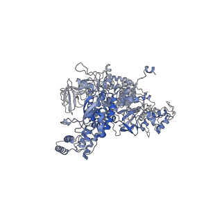 14560_7z8q_d_v1-0
Cryo-EM structure of Mycobacterium tuberculosis RNA polymerase core
