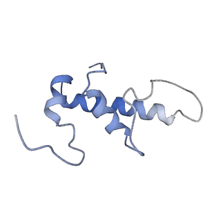 14560_7z8q_e_v1-0
Cryo-EM structure of Mycobacterium tuberculosis RNA polymerase core