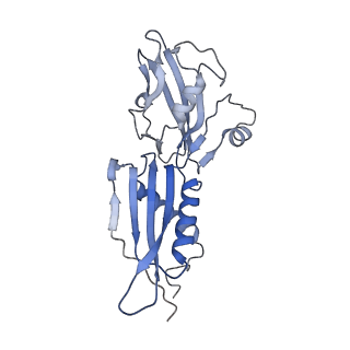 11087_6z9p_V_v1-1
Transcription termination intermediate complex 1