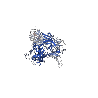 11119_6z97_A_v1-1
Structure of the prefusion SARS-CoV-2 spike glycoprotein