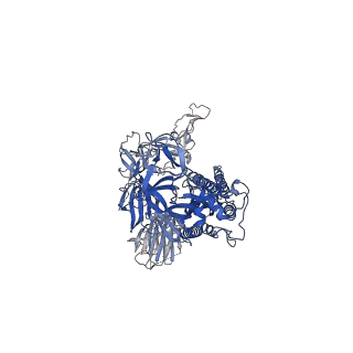 11119_6z97_C_v1-1
Structure of the prefusion SARS-CoV-2 spike glycoprotein