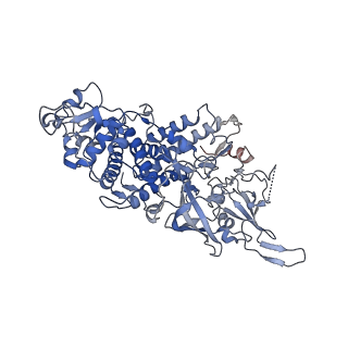 14566_7z90_A_v1-0
Leishmania RNA virus 1 virion