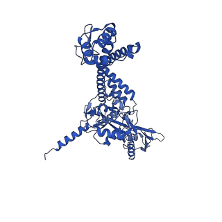 14570_7z9c_A_v1-1
E.coli gyrase holocomplex with 217 bp DNA and albicidin