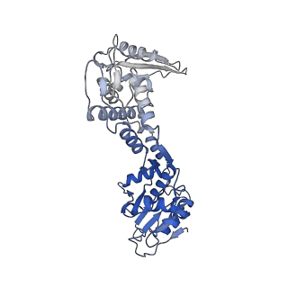 14570_7z9c_B_v1-1
E.coli gyrase holocomplex with 217 bp DNA and albicidin