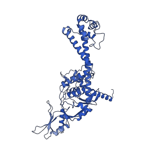14570_7z9c_C_v1-1
E.coli gyrase holocomplex with 217 bp DNA and albicidin