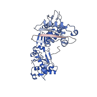 14570_7z9c_D_v1-1
E.coli gyrase holocomplex with 217 bp DNA and albicidin