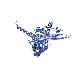 14572_7z9g_A_v1-1
E.coli gyrase holocomplex with 217 bp DNA and Albi-2