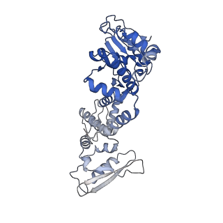 14572_7z9g_B_v1-1
E.coli gyrase holocomplex with 217 bp DNA and Albi-2
