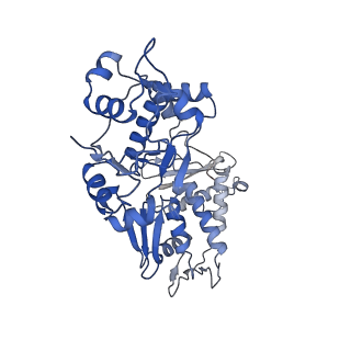 14572_7z9g_D_v1-1
E.coli gyrase holocomplex with 217 bp DNA and Albi-2