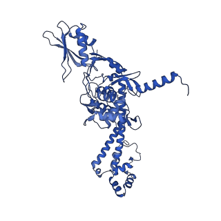 14573_7z9k_A_v1-1
E.coli gyrase holocomplex with 217 bp DNA and Albi-1 (site TG)
