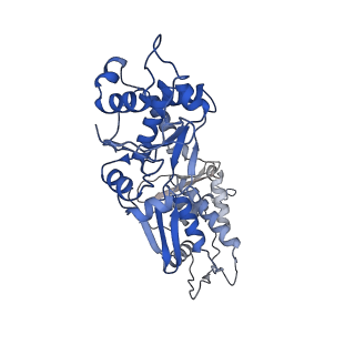 14573_7z9k_B_v1-1
E.coli gyrase holocomplex with 217 bp DNA and Albi-1 (site TG)