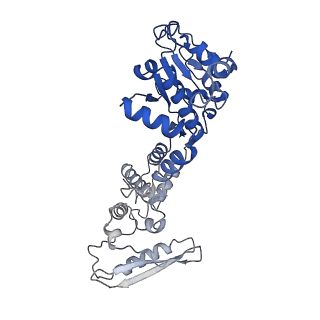 14573_7z9k_D_v1-1
E.coli gyrase holocomplex with 217 bp DNA and Albi-1 (site TG)