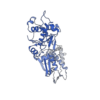 14574_7z9m_B_v1-1
E.coli gyrase holocomplex with 217 bp DNA and Albi-1 (site AA)