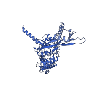 14574_7z9m_C_v1-1
E.coli gyrase holocomplex with 217 bp DNA and Albi-1 (site AA)