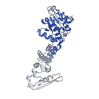 14574_7z9m_D_v1-1
E.coli gyrase holocomplex with 217 bp DNA and Albi-1 (site AA)