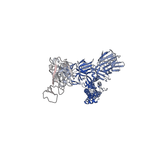 14575_7z9q_A_v1-1
CRYO-EM STRUCTURE OF SARS-COV-2 SPIKE : H11-A10 nanobody complex