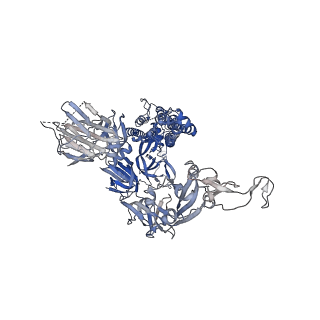 14575_7z9q_C_v1-1
CRYO-EM STRUCTURE OF SARS-COV-2 SPIKE : H11-A10 nanobody complex