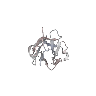 14575_7z9q_E_v1-1
CRYO-EM STRUCTURE OF SARS-COV-2 SPIKE : H11-A10 nanobody complex