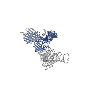 14576_7z9r_C_v1-1
CRYO-EM STRUCTURE OF SARS-COV-2 SPIKE : H11-H4 Q98R H100E nanobody complex in 2Up1Down conformation
