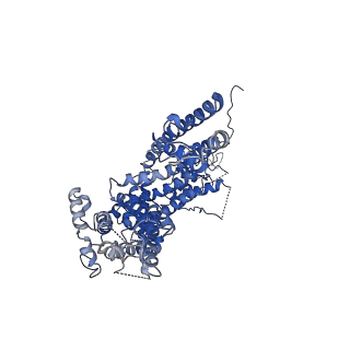 6901_5z96_D_v1-1
Structure of the mouse TRPC4 ion channel