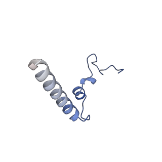 11127_6za9_M_v1-1
Fo domain of Ovine ATP synthase