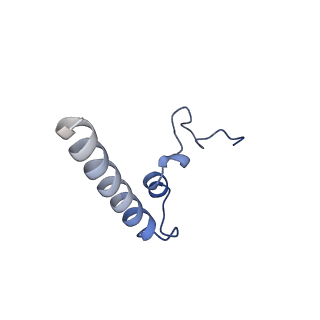 11127_6za9_M_v2-0
Fo domain of Ovine ATP synthase