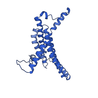 11127_6za9_N_v1-1
Fo domain of Ovine ATP synthase