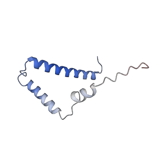 11127_6za9_S_v1-1
Fo domain of Ovine ATP synthase