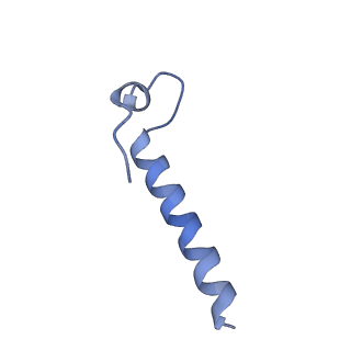 14579_7zag_0_v1-1
Cryo-EM structure of a Pyrococcus abyssi 30S bound to Met-initiator tRNA,mRNA, aIF1A and the C-terminal domain of aIF5B.
