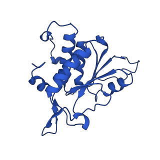 14579_7zag_B_v1-1
Cryo-EM structure of a Pyrococcus abyssi 30S bound to Met-initiator tRNA,mRNA, aIF1A and the C-terminal domain of aIF5B.